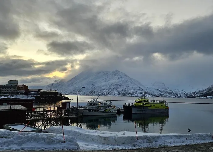 Апартаменты Norwegian House Oksfjord